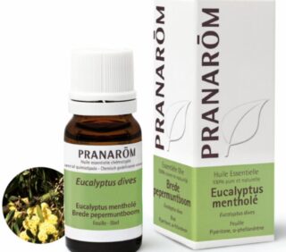 Pranarom_eucalyptus_menthole_5677.jpg