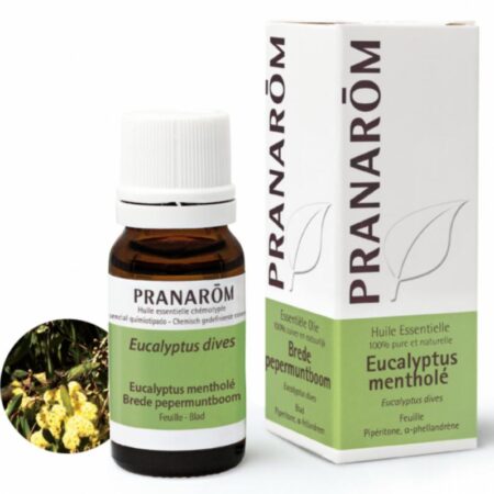 Pranarom_eucalyptus_menthole_5677.jpg