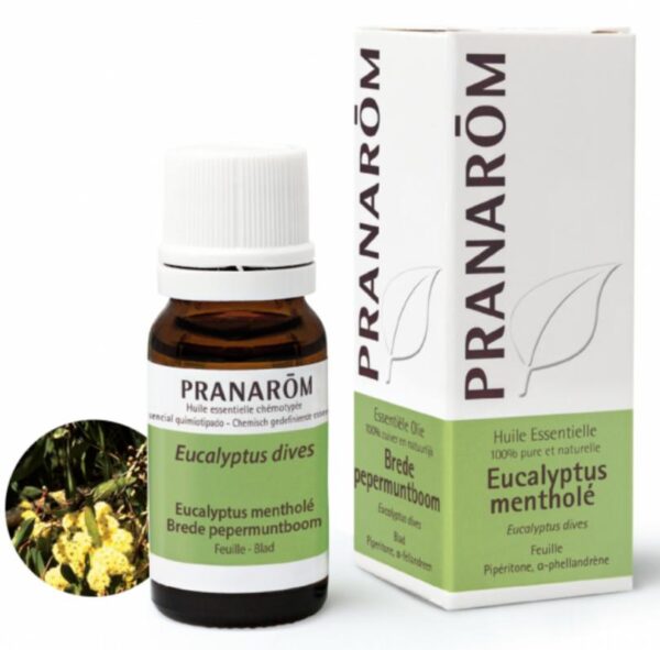 Pranarom  - Eucalyptus mentholé