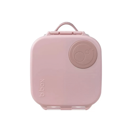 Mini Lunchbox - Blush Crush